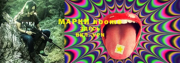 МДПВ Верхний Тагил