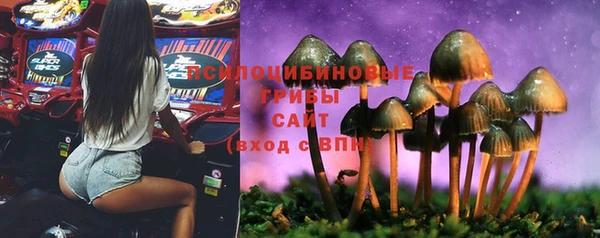 альфа пвп Пролетарск