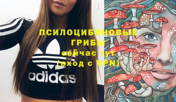 соль курить ск Богданович