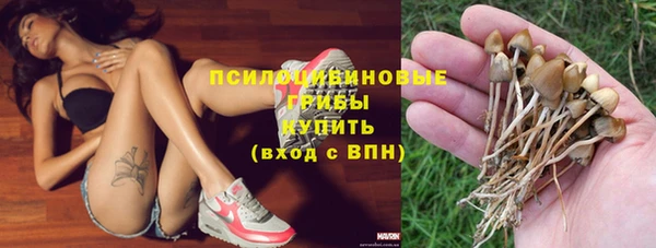 МДПВ Верхний Тагил
